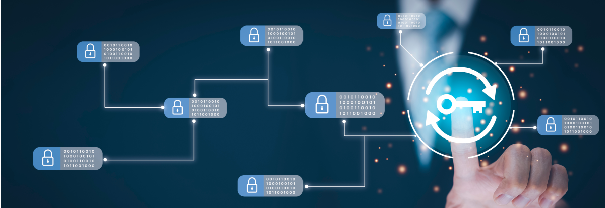 Step-by-Step Guide to Securing Your Anjouan License